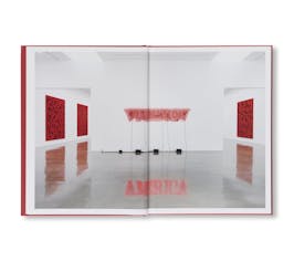 UNTITLED (AMERICA)/DEBRIS FIELD/SYNECDOCHE/NOTES FOR A POEM ON THE THIRD WORLD